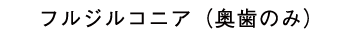 フルジルコニア（奥歯のみ）