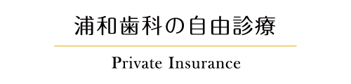 浦和歯科の自由診療 Private Insurance